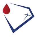 Diamond Diagnostics logo